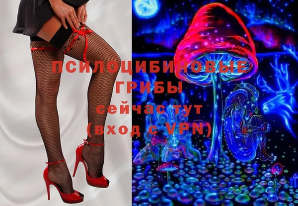 spice Надым
