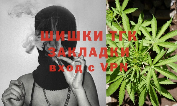 spice Надым