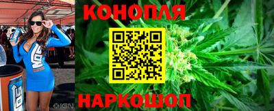 эйфоретик Аргун