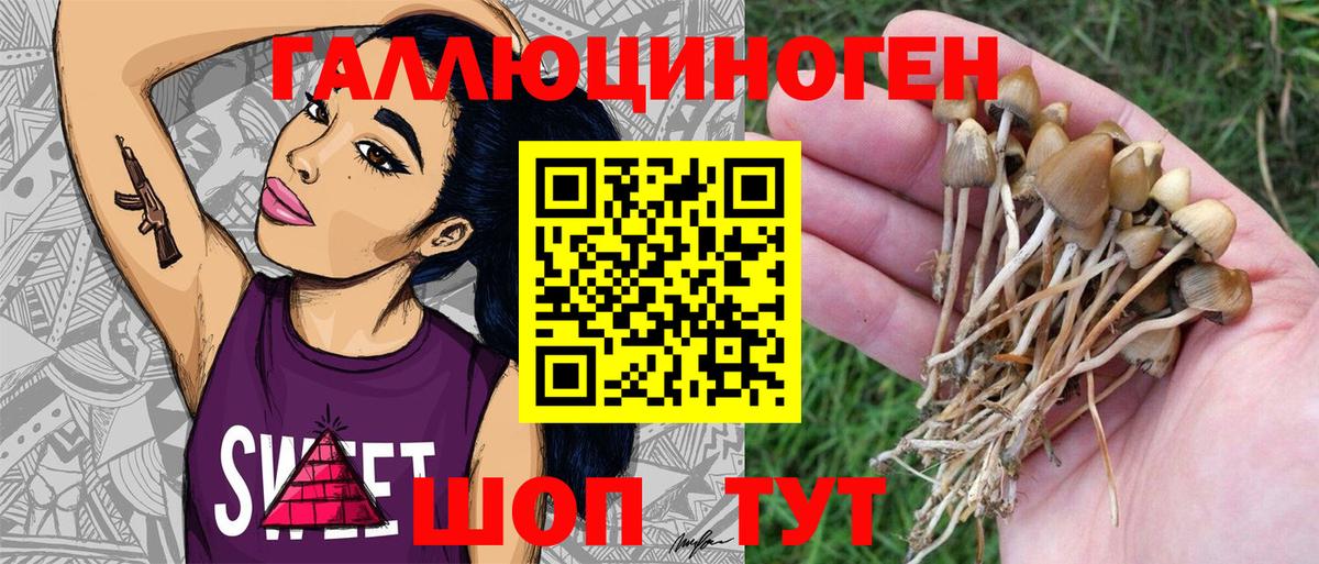 Псилоцибиновые грибы MAGIC MUSHROOMS  Псилоцибиновые грибы мицелий  Вход с VPN  Егорьевск 