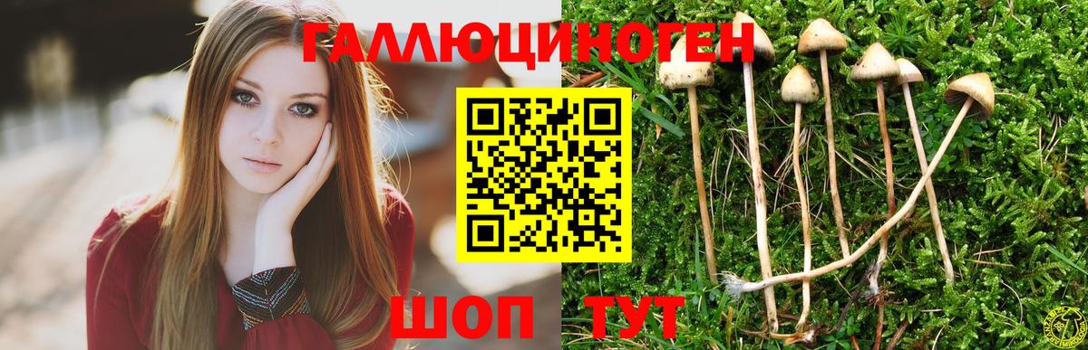 Галлюциногенные грибы ЛСД Егорьевск