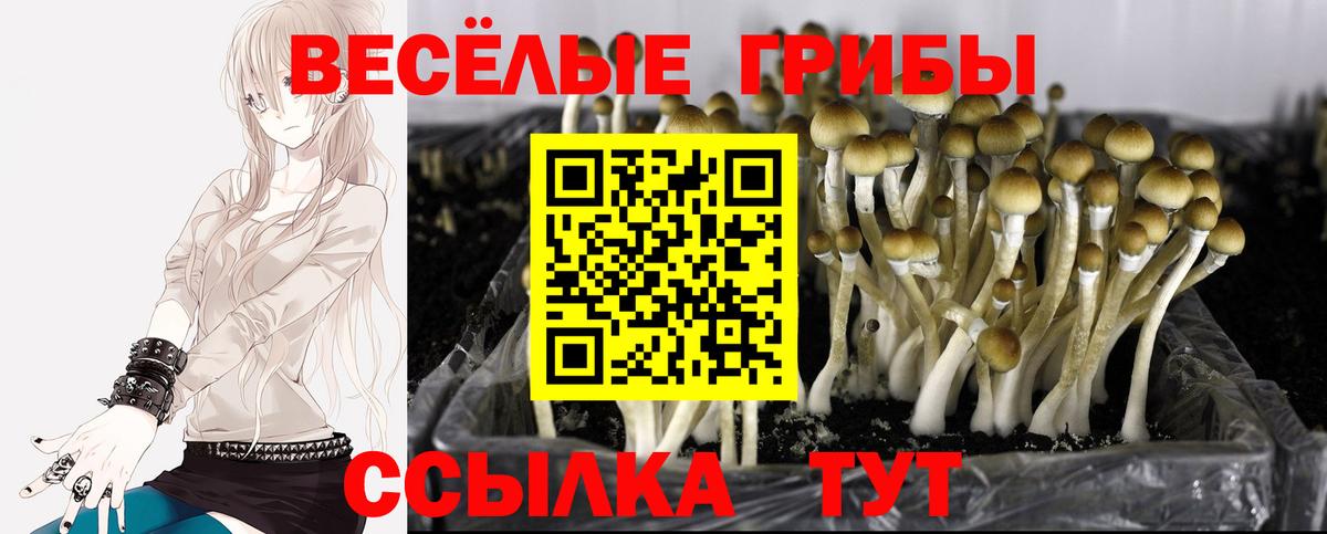 Галлюциногенные грибы GOLDEN TEACHER Егорьевск