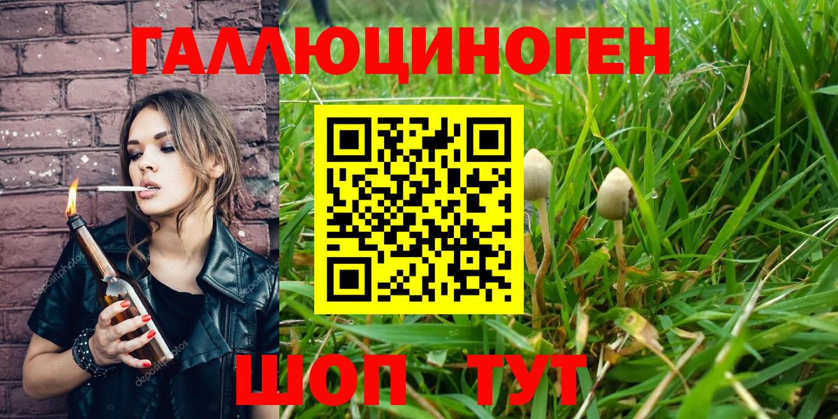 Псилоцибиновые грибы GOLDEN TEACHER  где купить наркоту  Егорьевск 